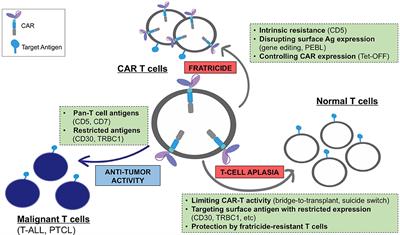 Chimeric Antigen Receptors for T-Cell Malignancies